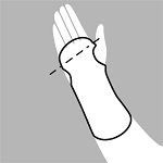 Desenho de animal

Descrição gerada automaticamente com confiança média